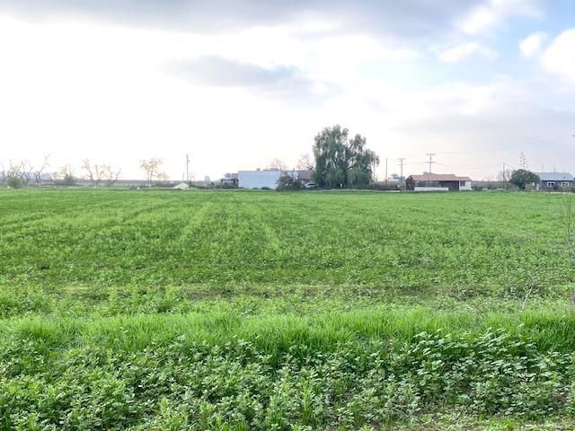 5231 Chico Ave, Kingsburg, CA 93631