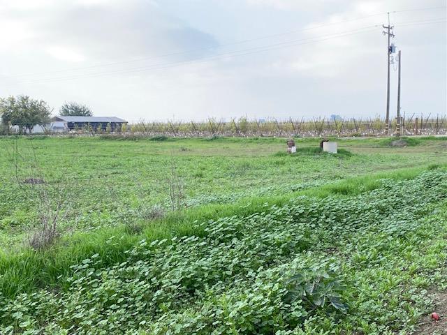 5231 Chico Ave, Kingsburg, CA 93631