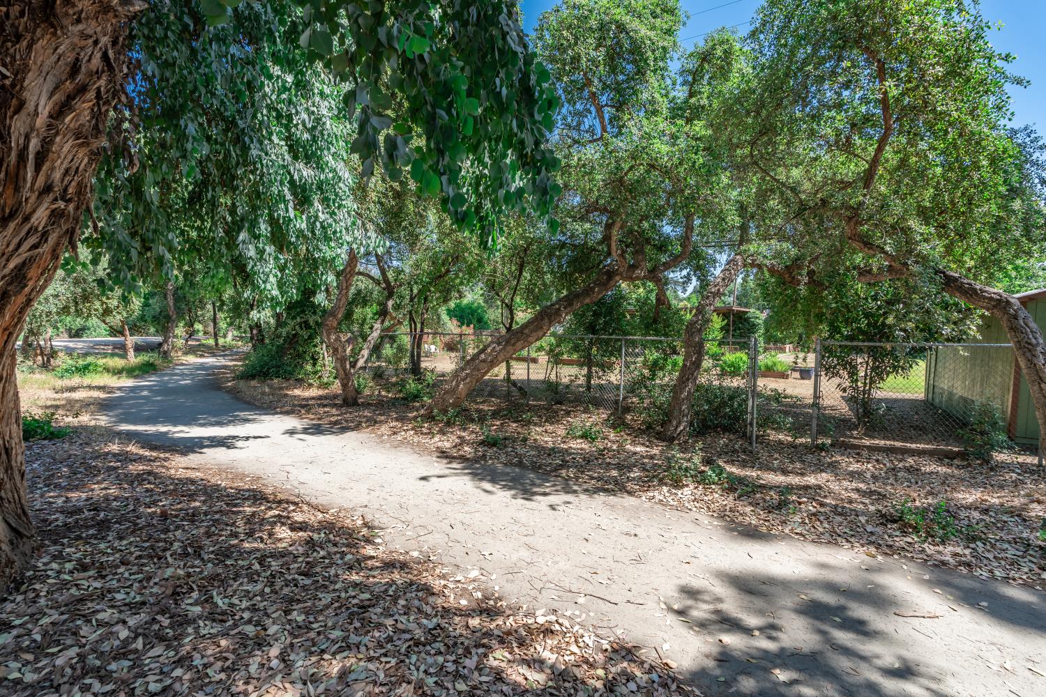 5426 Columbia Dr S, Fresno, CA 93727